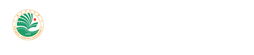 bv伟德